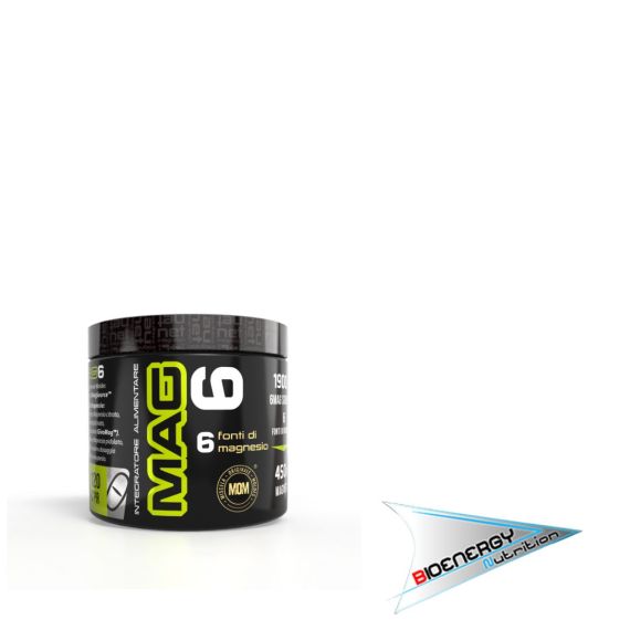 Net-MAG 6 (Conf. 120 cpr)     